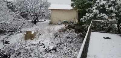 Snow in the hill country