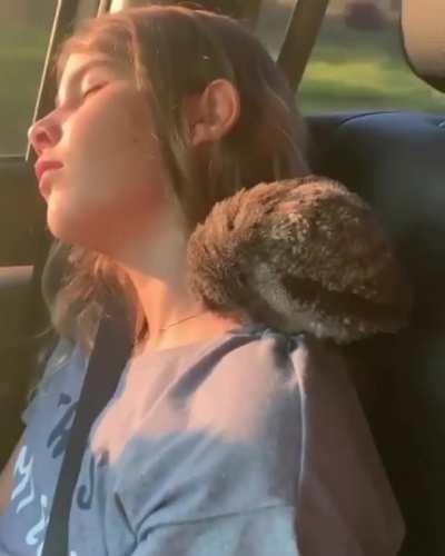 This young girl falling asleep during a car ride with her owl