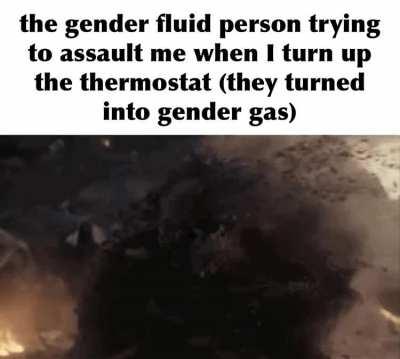 THEY turned into gender gas. A right wing page posted this shitpost and I realized correctly gendered this person