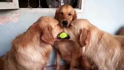 “I don’t want the ball, I just want to feel included