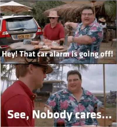 Car alarms just annoy everyone. : memes