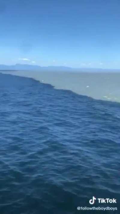 🔥 What you are really seeing is glacier water from Alaska meeting Pacific Ocean water.