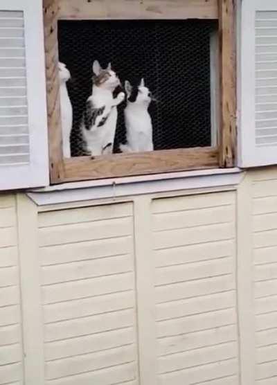 Spectators watching at a sporting event