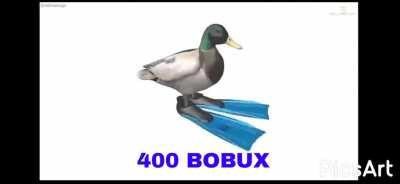 Me when 400 bobux: