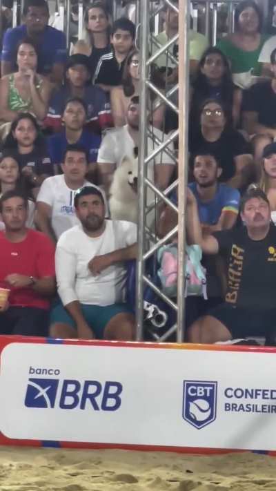 The synchronization of these people's faces when watching beach tennis.