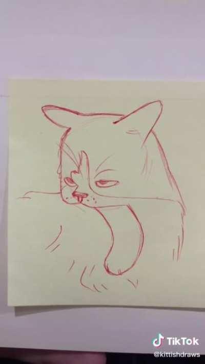 Drawing some Cats