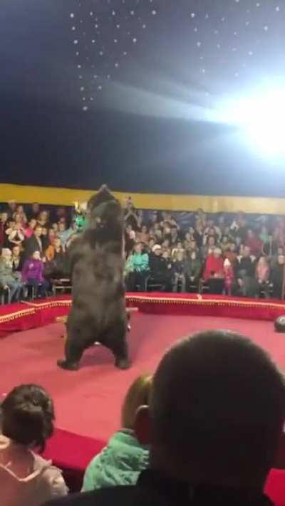 Circus clown pisses off the wrong bear.