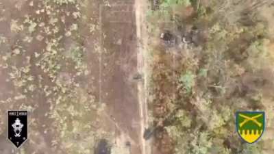 Drone operators from the 1st Assault Battalion of the 92nd Assault Brigade (92 OSHBr) destroy Russian infantry with resets, Kharkiv region [Oct 2024]