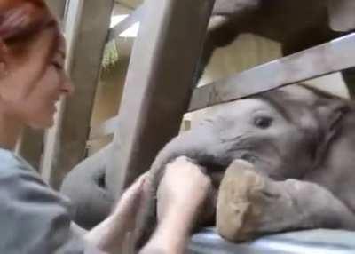 Happy Little Elephant &amp;lt;3