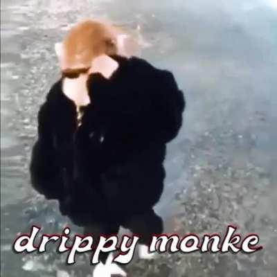 1 Upvote= 1 Monke