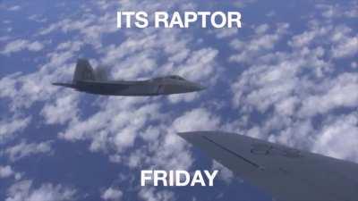 It's Raptor Friday