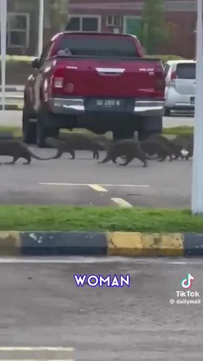 Normal day in Malaysia 