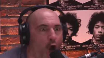 Joe Rogan is a Gorilla