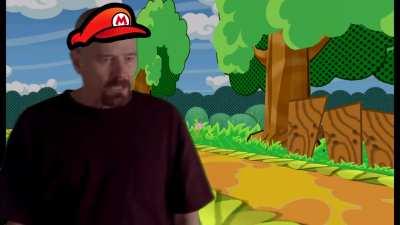 I AM the Danger (Paper Mario X Breaking Bad)