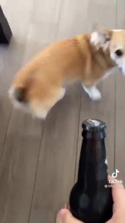 Undocumented Corgi feature