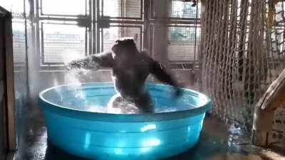 Monke spin