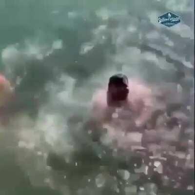 HMF If you care to shed a tear for the way he met his most untimely end. Slowly, slowly, he sank into the sea, To the very bottom, he sank into the sea