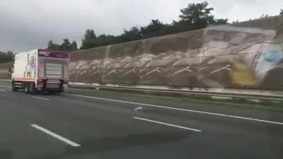 This pigeon spotted in The Netherlands using slipstreams to race cars on the highway at 100 km/h