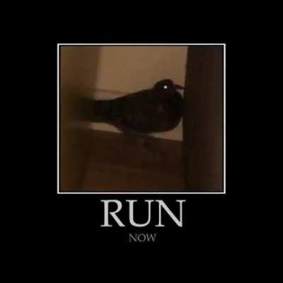 RUN