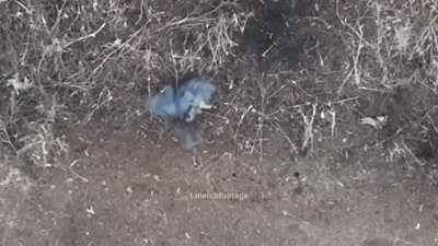 Russian soldiers get gunned down and finished off with grenades dropped from a drone during assault on Ukrainian trench. Bakhmut [Jan 2023]