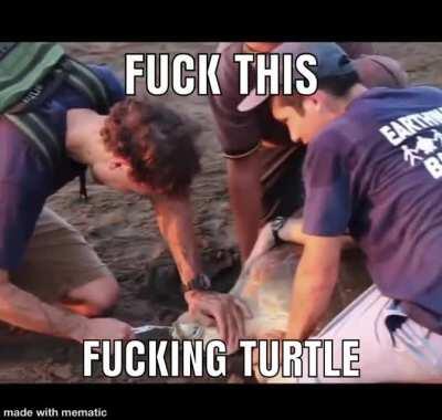 Turtle cum 😳