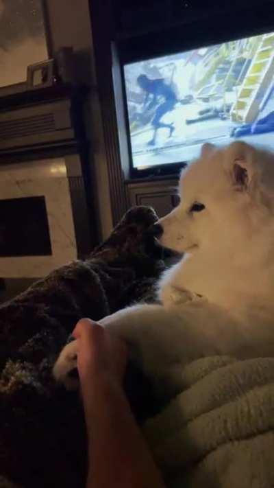 Finally got a video of her! She loves to hold hands, especially when we watch movies 🩵