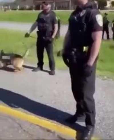 Anti-police protestor accidentally on-purpose backs himself into jaws of leashed K9, mob immediately claims police brutality