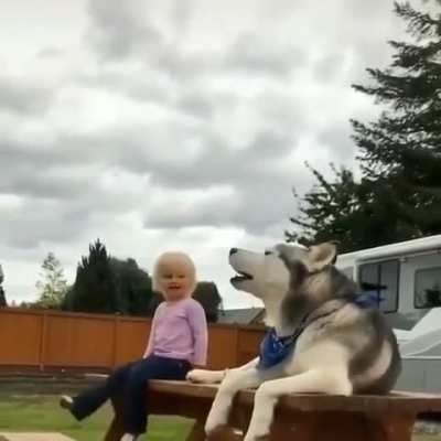 Kid and Husky