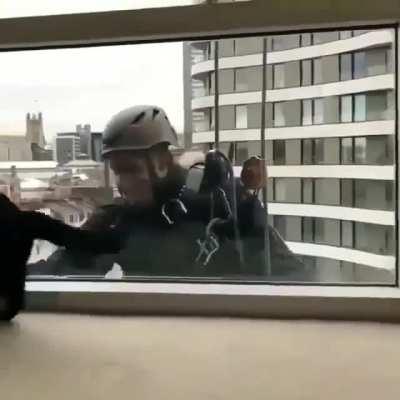 Cat plays with window cleaner