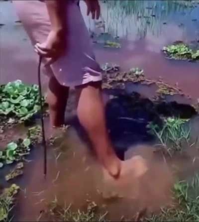 HMB while I step on this Stingray for some reason