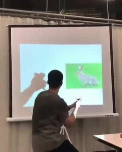 This guy's shadow puppets