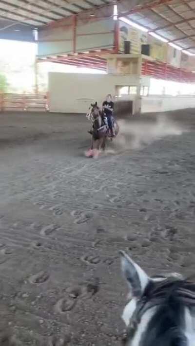 The ability of this horse to stop quickly