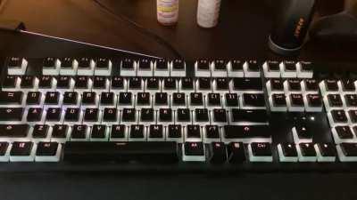 This is what your keyboard will do when moon lord is about to spawn