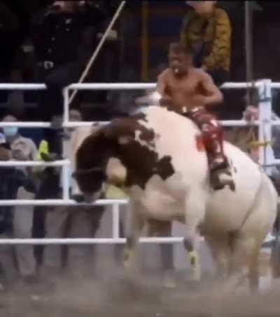 bull ride without using his hands