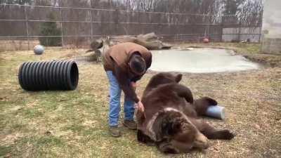 Jimbo getting brushed by his best friend Jim