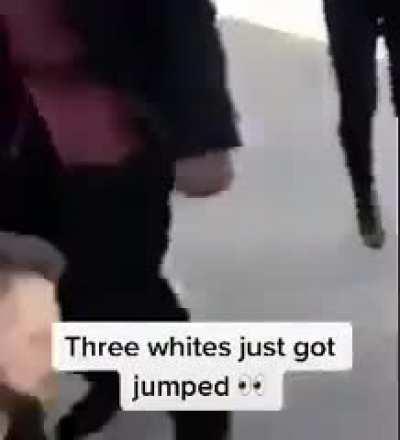 3 whites get jumped