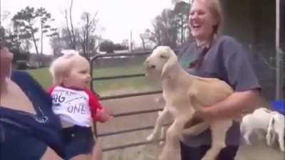 Very serious conversation between baby and lamb