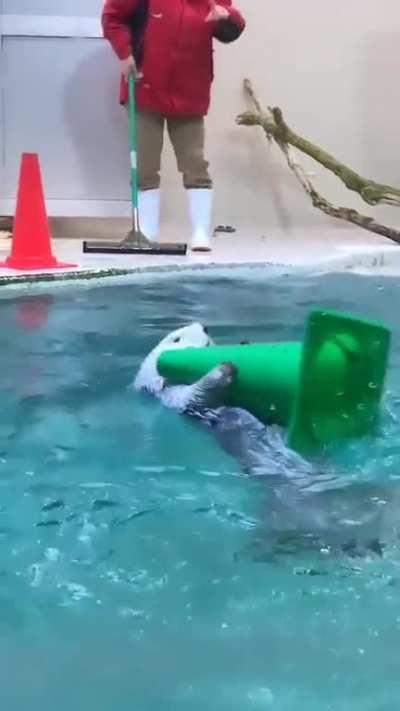 Sea Otter helping clean up