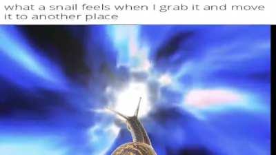 Snail goes fiaaaaaaaaum