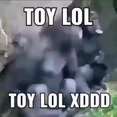 Toy lol