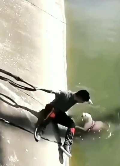 Kudos to this who was bitten by the poor Doggy multiple times, yet didn't give up on her!