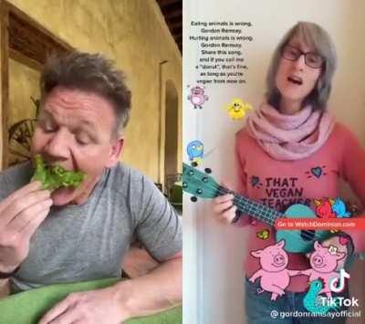 Here will Gordon Ramsay vs the vegan teacher plz get this up voted so will can see