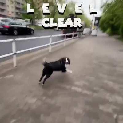 Super Pawiro!