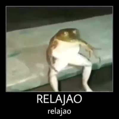 VOLVÍ RELAJAO 🐸🤙