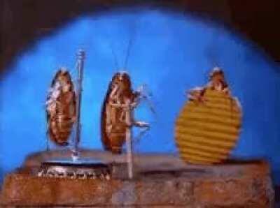 When you type bug party instead of big party: