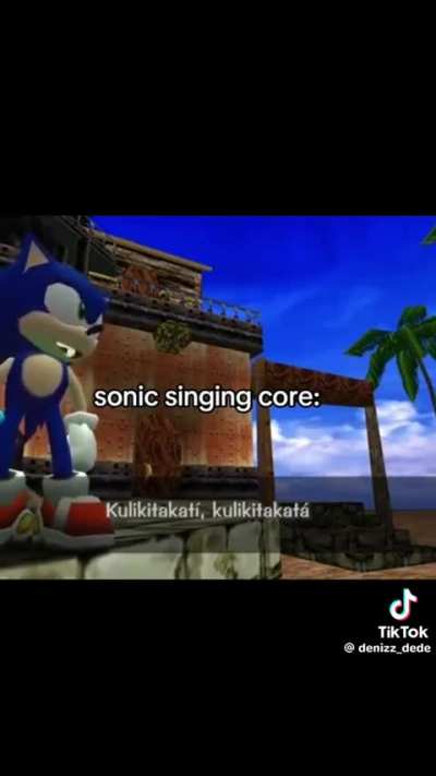 How the hell sonic can sing