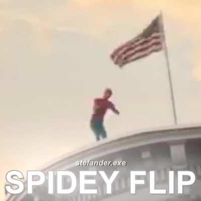 Spidey FLIP