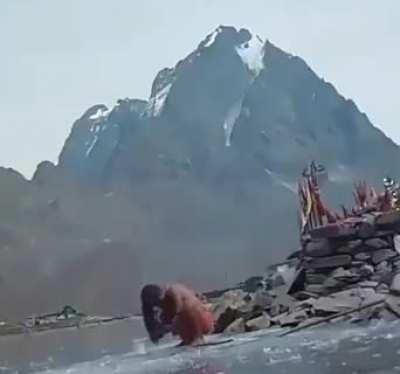 A Yogi in barefoot bathing in ice cold water. (himalyas)