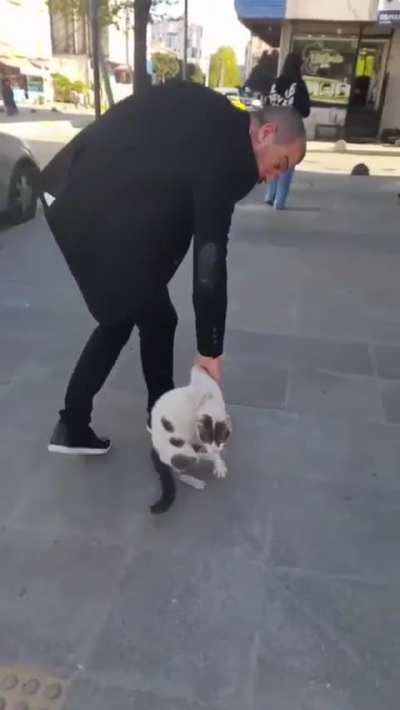 This man breaking up a cat fight in Istanbul