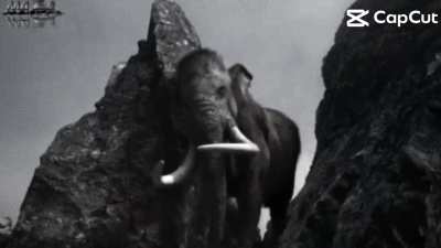 Colombian mammoth edit 